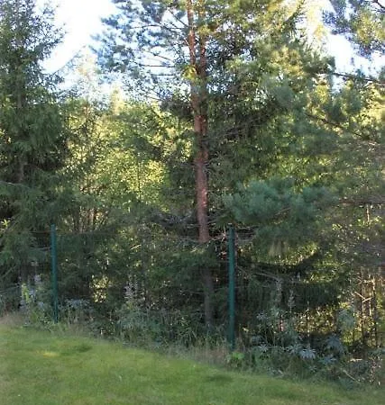 Your * Нуппола